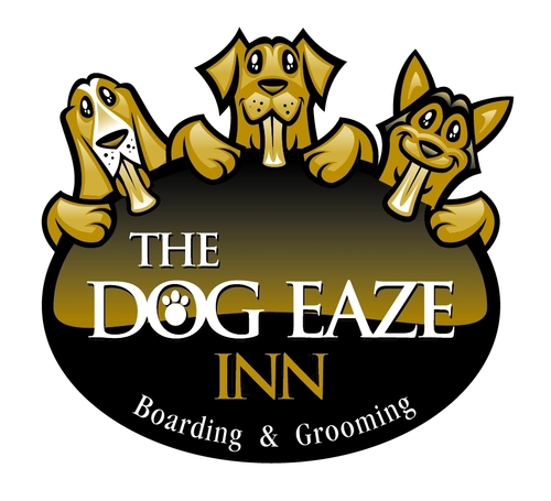 @dogeazeinn