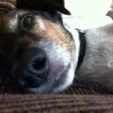 Patsy garza - @756Patsy - Twitter