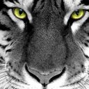 Clyde McCall - @friskytiger1 - Twitter