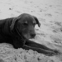 Helen Ann Sorrell - @helenanndavis1 - Twitter