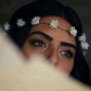 marom_saleh's profile picture. 