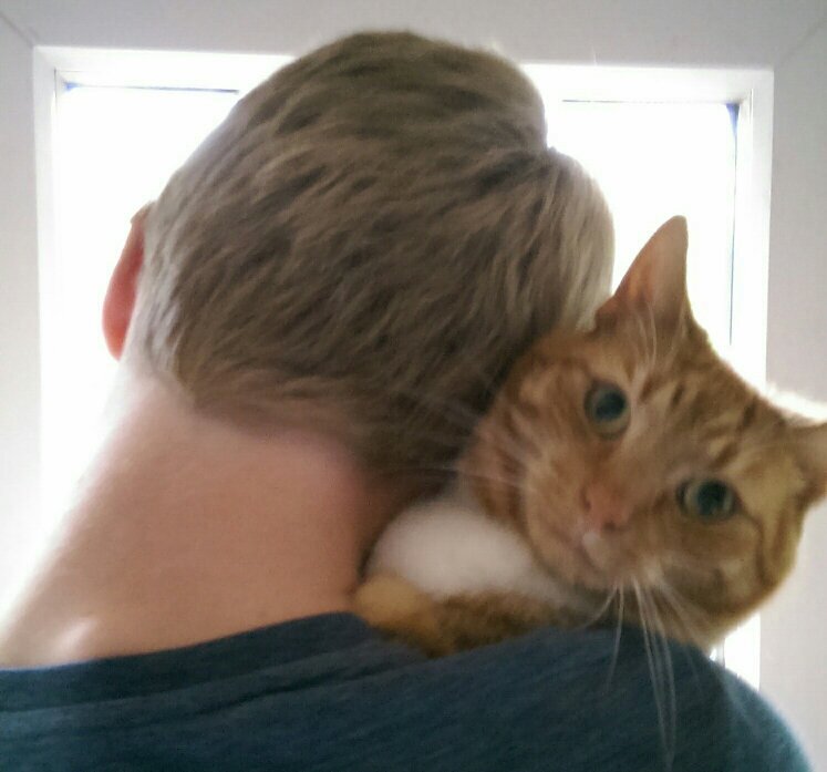 2016SamG's profile picture. Curiosity is not a sin… But we should exercise caution with our curiosity… yes, indeed.