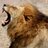 sa_hunters's profile image