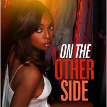 Simon&Schuster Author-On The Other Side, Strange Fruit, Serial Typical, More Than Meets Eye, Color Me Grey. several anthologies incl. Times Bestseller Succulent