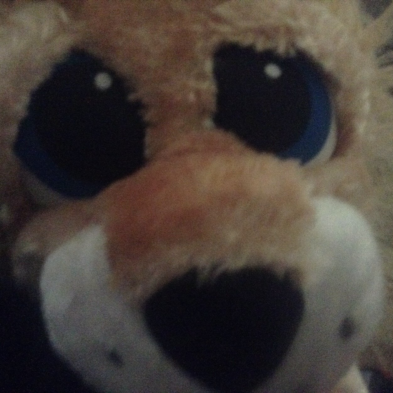 dominicdelvalle's profile picture. 