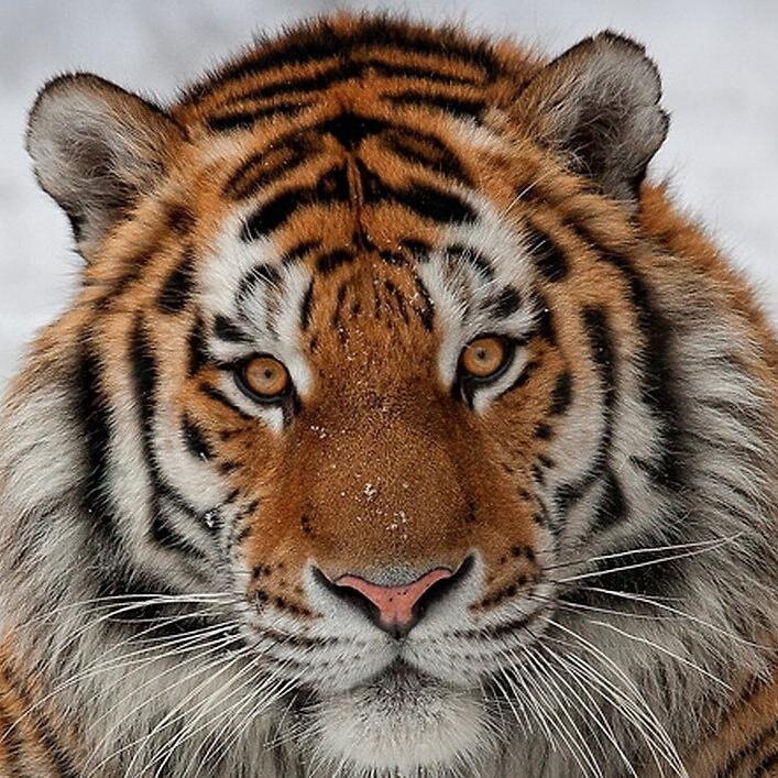 ducktech7's profile picture. 