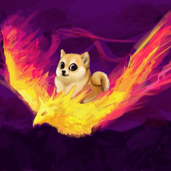 stackingboots's profile picture. doge before bros