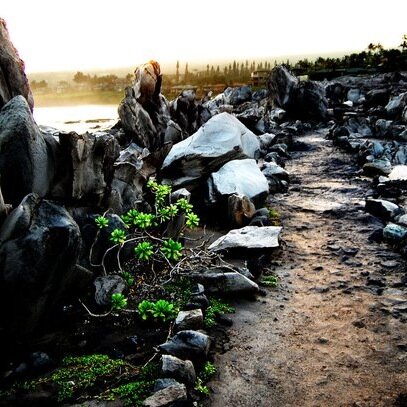 NYKellB22's profile picture. 