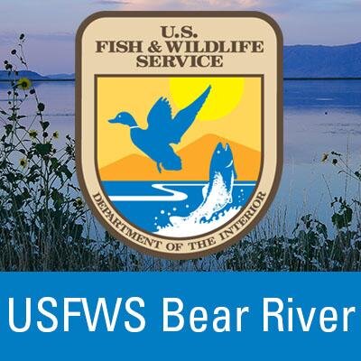 Bear River Migratory Bird Refuge lies in northern Utah, where the Bear River flows into the northeast arm of the Great Salt Lake. #Utah #BRMBR