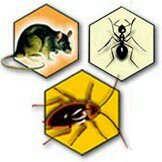 Control de plagas. control de Legionella & APPCC 924303190-615824015