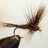 FlyfishTas's profile image