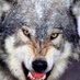 GHS Wolves Girls BB (@GHSWolvesGBball) Twitter profile photo