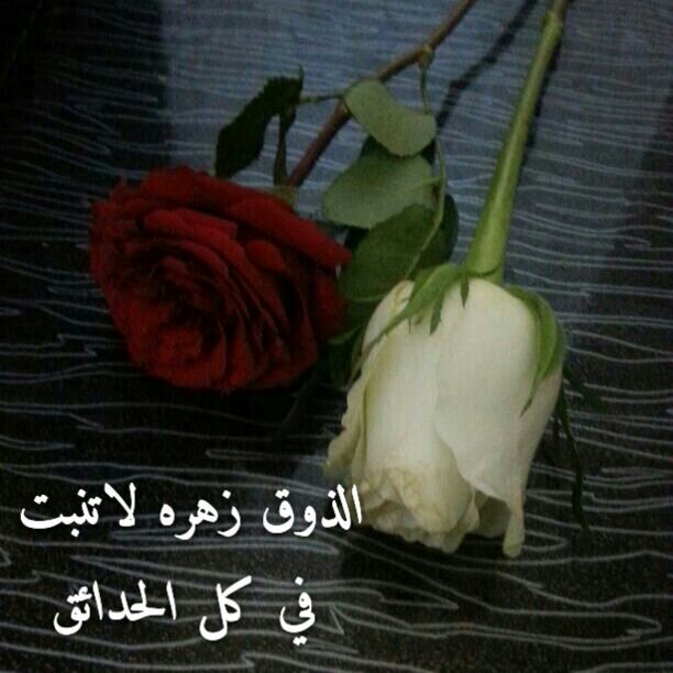 يا كل اشيائي يا نبض من قلبي
