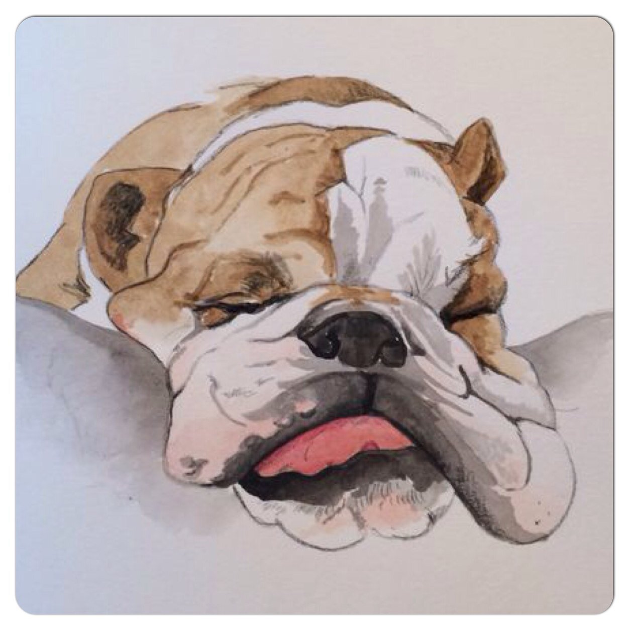 I'm the cutest Bulldog in England. I love cheese and bones and sleeping and snoring, farting and sunbathing!!