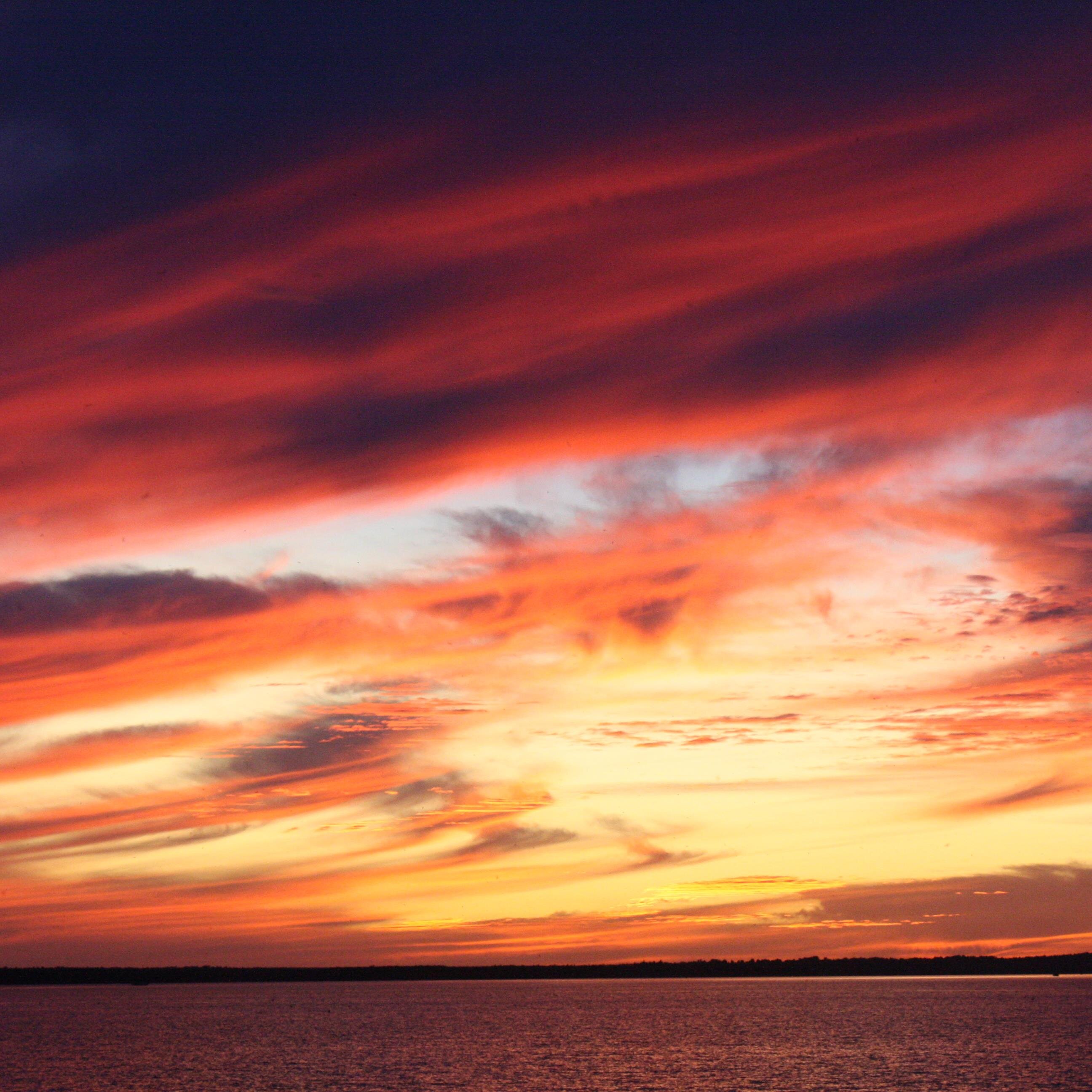 rogerinyow's profile picture. 