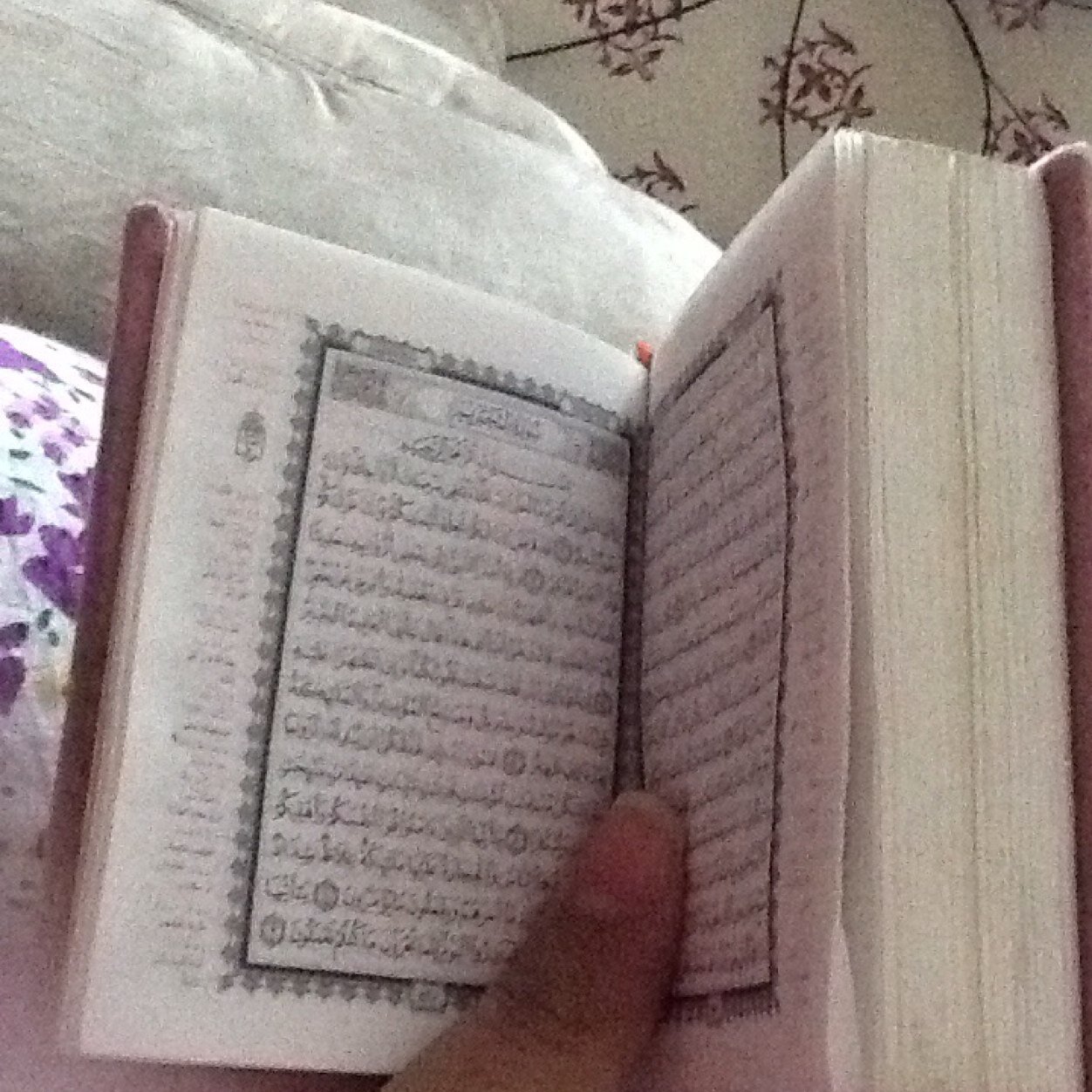 حسابي في الانستقرام shosho_s24 وفي BBM بني7DC5B0C9 

حلو إنك تكتفي باللي يقدرون وجودك معهم
 وتشوف السعادة فيهم و تتجاهل اللي
 ما يشوف منك شي قد ما تعطي ...