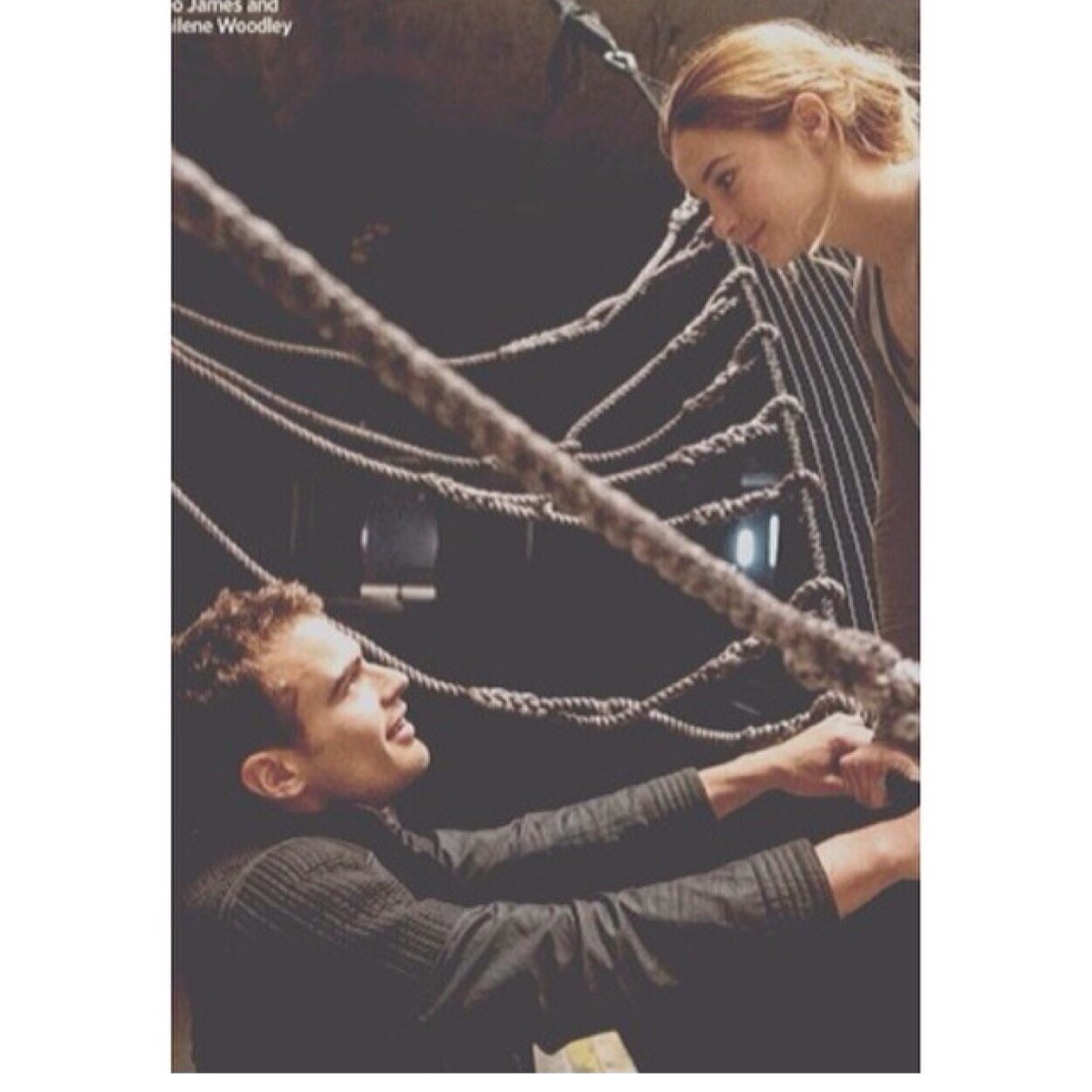 dauntlessfandom's profile picture. initiate & glader | DIVERGENT, TMR, TFIOS |  “I'll say it one last time: Be brave.”