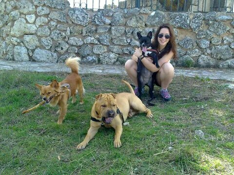 robustos90's profile picture. 