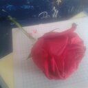 alex moposita (@alexmoposita44) Twitter