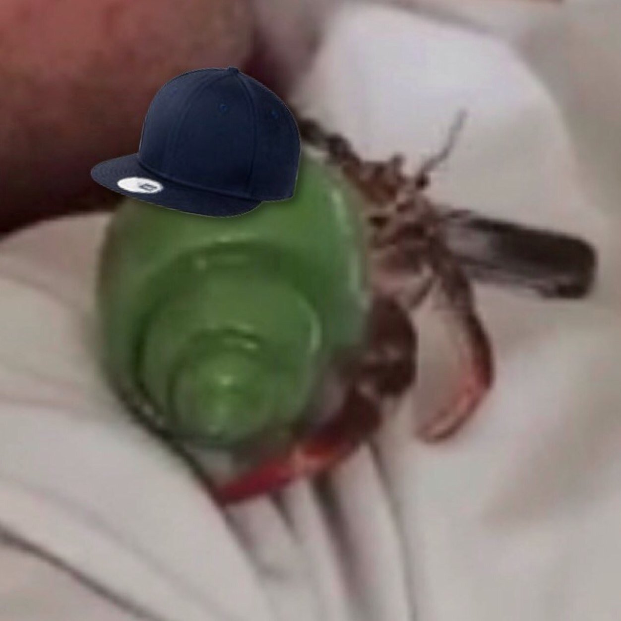 Im a crab but i get the ladies