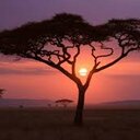 justin michaelson - @kellyseries - Twitter