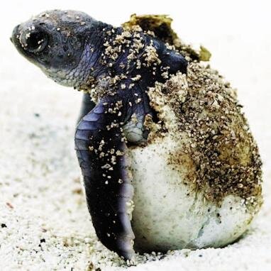 designforlife_'s profile picture. 