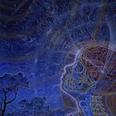 Shane Emmons - @shaneemmons - Twitter