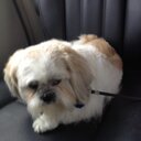 Elizabeth Casey Kern - @momvan2 - Twitter