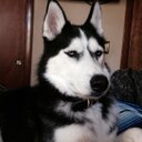 Patricia Charron - @trish8266 - Twitter