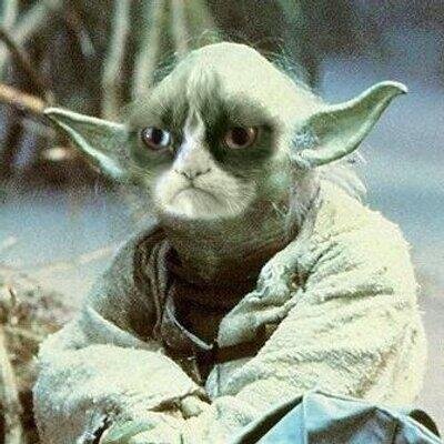 Social engineer, doxer, coder (dont code a lot but i know some), overall chill guy if you dont talk shit to me. dm for skype/xbox