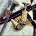 اصول الحنكه والمعرفه (@m_43210) Twitter profile photo