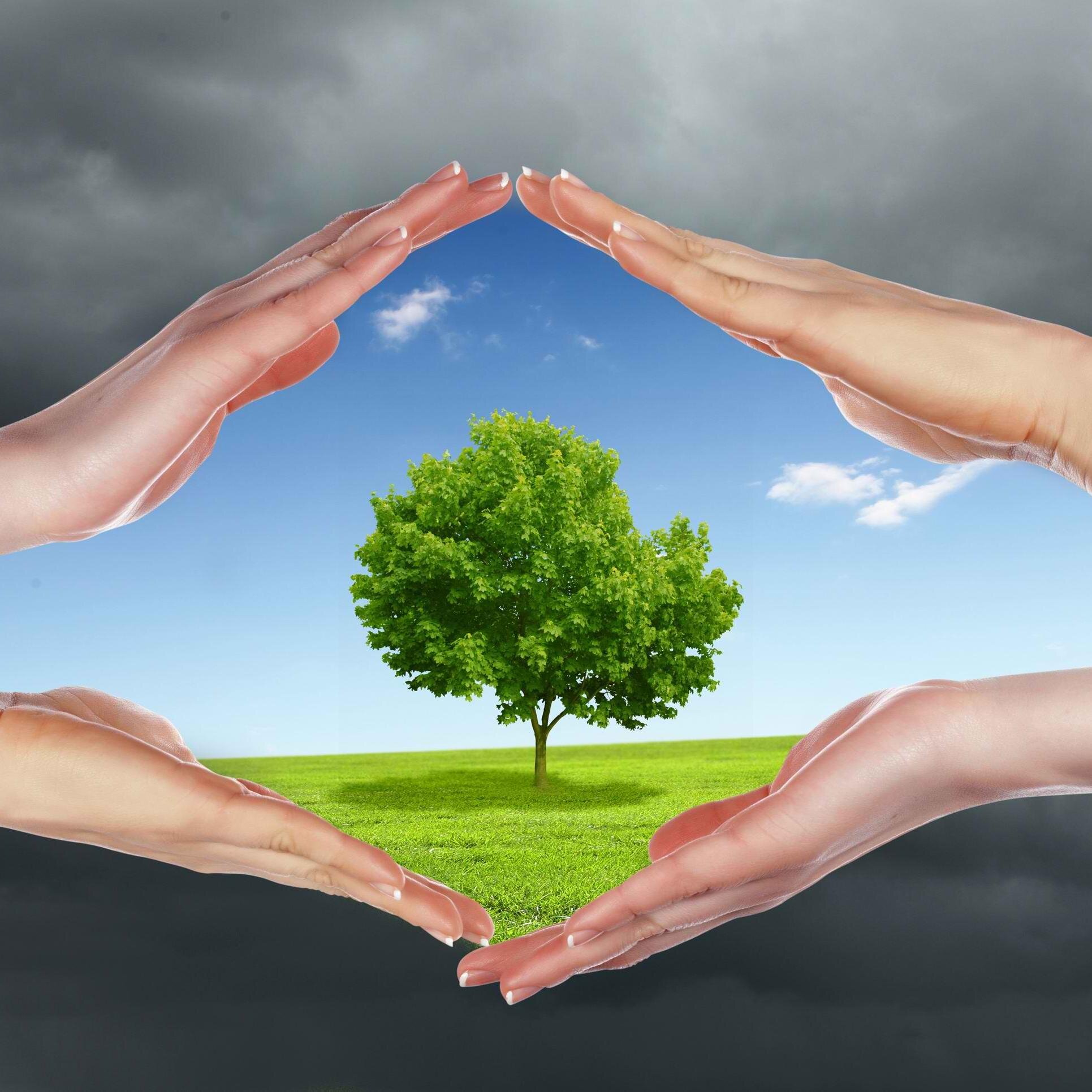 AirPollutionLA's profile picture. My names Kavish and Im here to make a change