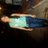 LauraValencia0's profile image