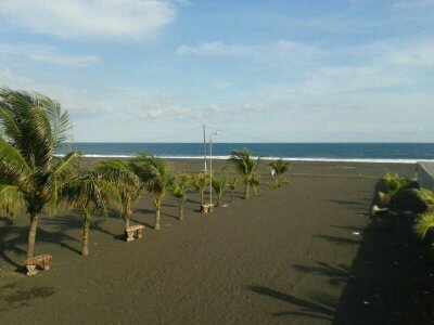 tueresparami17's profile picture. 