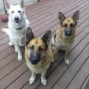 Cathy Wallace - @hippy100802 - Twitter