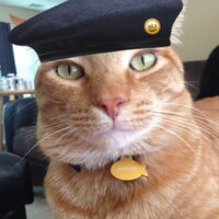 Jaspurr Cat (@jaspurrginger) 's Twitter Profile