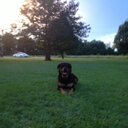 steven beard - @stevenbeard1 - Twitter