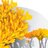 APPS_2015's profile image