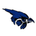 Pierce Bluejays (@thejayszone) Twitter profile photo