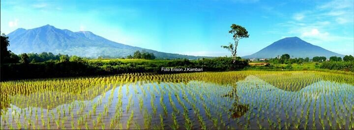 irfan_aputra's profile picture. 