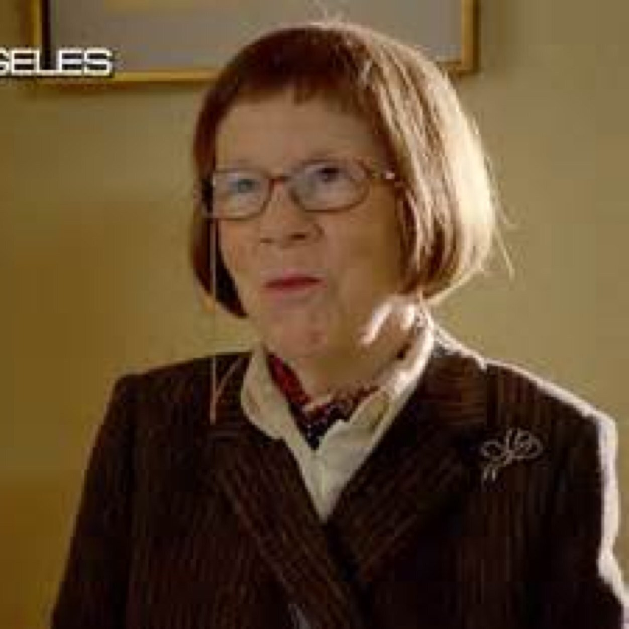 Hello I'm Hetty Lange the leader of NCIS in Los Angles