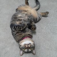 TzT (@tzt_square) 's Twitter Profile Photo TzT (@tzt_square) 's Twitter Profile Photo