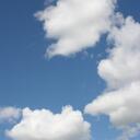 Dixie Warren - @dixlyn - Twitter