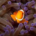 Ruby Burnett - @RubyMagi - Twitter