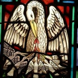 HuskerCatholic's profile picture. Duc in Altum