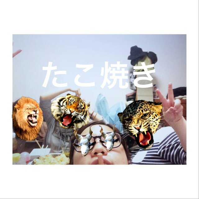 友達に影響されてﾄﾞｯﾌﾟﾘシクラメンにはまりました♡ ♡ \(´ω` )/