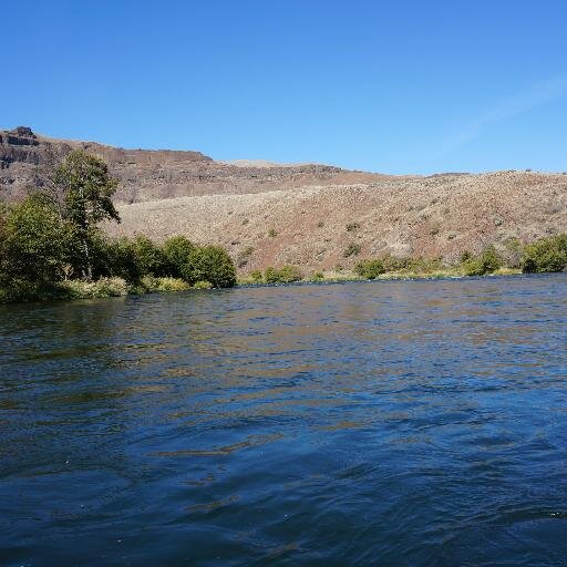 Dad. Fly Fisherman. Non-fishing wife. Two objective kids. Time-constrained. Constructive liar. Writing and fly fishing-themed beers ease my pain.