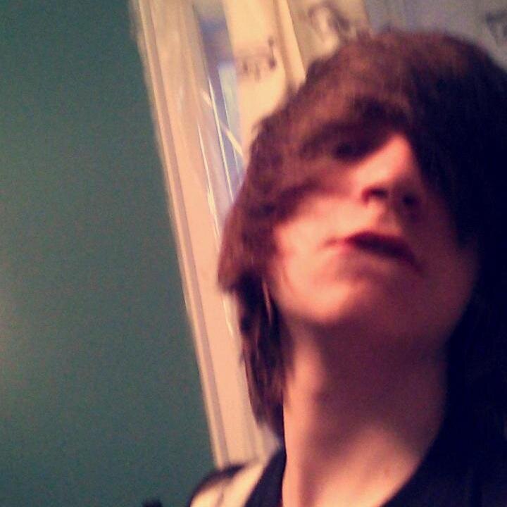 I love bands, tacos, and cats cx