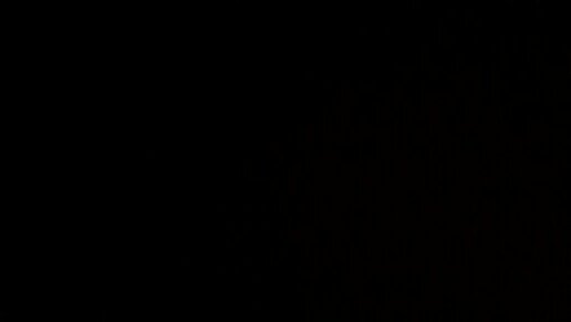 sh_404_'s profile picture. 