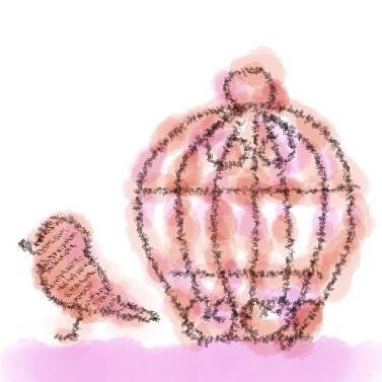 鳥のジュイーさんのプロフィール画像